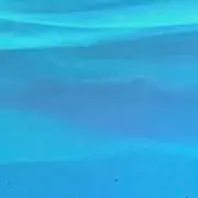 aの画像