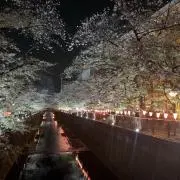 さっさーしー（プロフィール必読）の画像