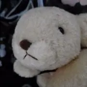 にゃりの画像