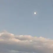 うめまよ