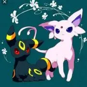 いかちゃんの画像