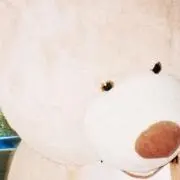 K☆プロフ必読