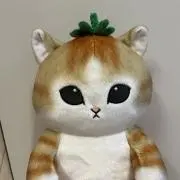 くっきーの画像