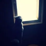 アナシタシアの画像