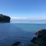 自由人