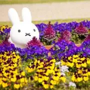 しずくの画像