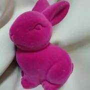 ここの画像