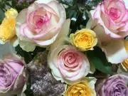tomorin -flowerの画像