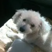 むぎを