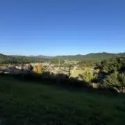 さいとうの画像