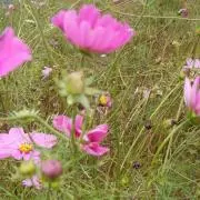 チコ4/16プロフィール更新しました