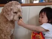 ルーの画像