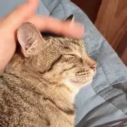 umelve_mimi