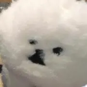 るぷ♡の画像