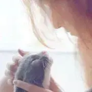 eriの画像