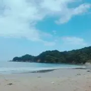 グリディック