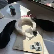 もも　プロフ欄お読みくださいの画像