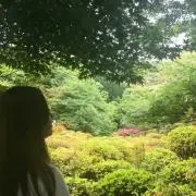 Ren.