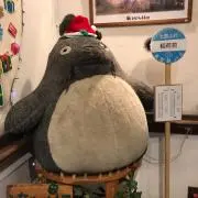 Yの画像
