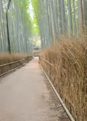 みかど　毎日発送の画像