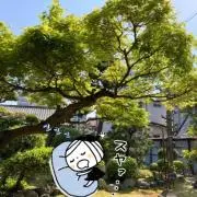 ほんわり‥(*´꒳`*)  o○°