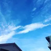 y.yの画像