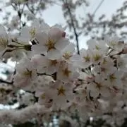 まっちゃ ☆プロフィールをご覧下さいの画像