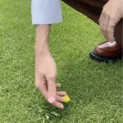 きじとらの画像