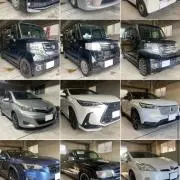 TANI