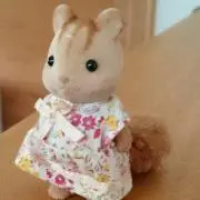 ころんの画像