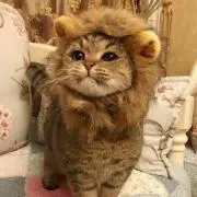 ちぃ