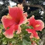 ♡♡♡お値段相談〇の画像