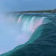 Rinの画像