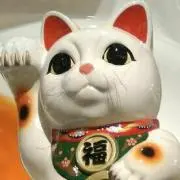 とこたん02の画像