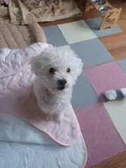コロン ‎੯•`໒笑う門には福来る