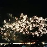 千葉の画像