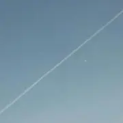 ペンギン