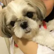 Yukiの画像
