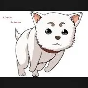 白犬の画像