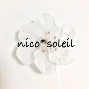 nico*soleil