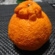 みかん