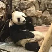 makariの画像