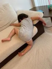 レントリの画像