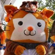 のっさんZ (購入前にプロフ確認を)の画像