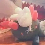 八橋の画像