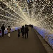 あっきーの画像