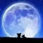 momo♪の画像