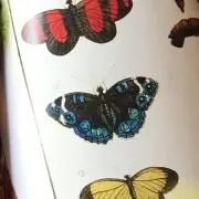 SANDAY 【古着専門店】の画像