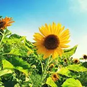 m◎プロフ必読♫の画像