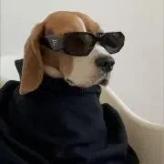 まふの画像